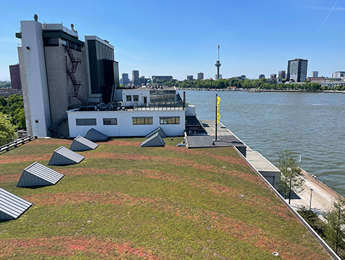 FENIX Rotterdam