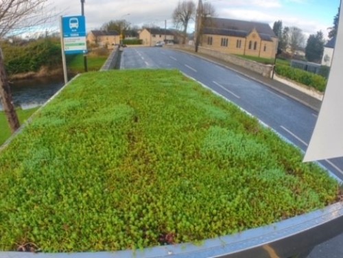 Bee-friendly bus shelter