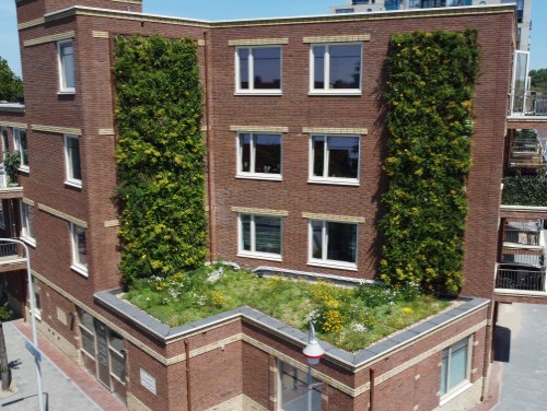 Haagse Woonwijk