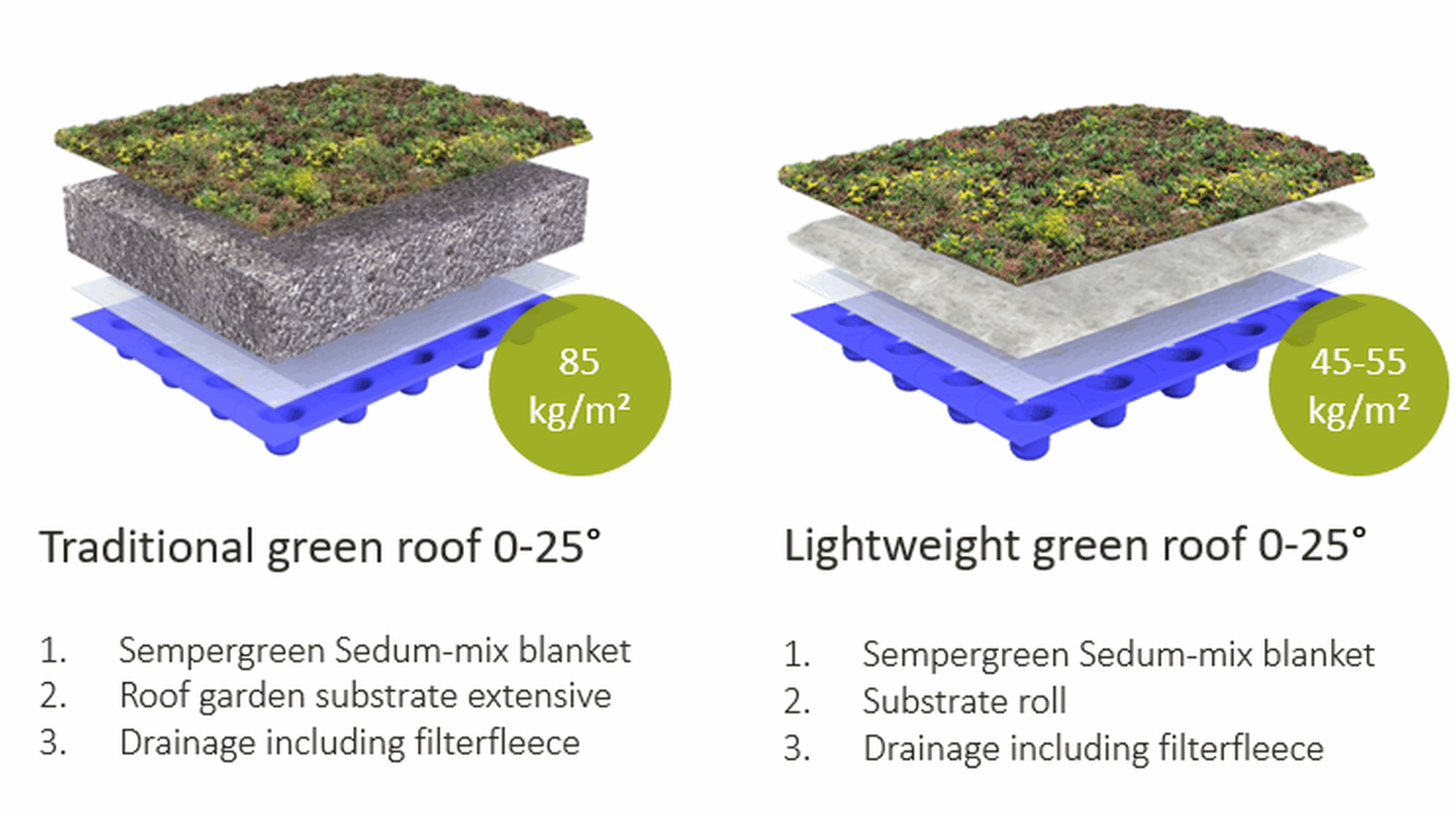 Geleneksel ve hafif Sedum çatı sistemi yapıları