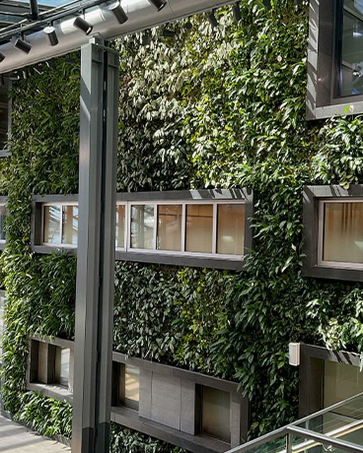 Sempergreen Yenileme ve Peyzaj, Rotterdam