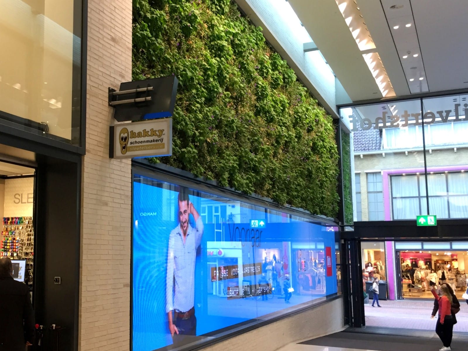 Sempergreen Yeşil Yenileme Hilversum