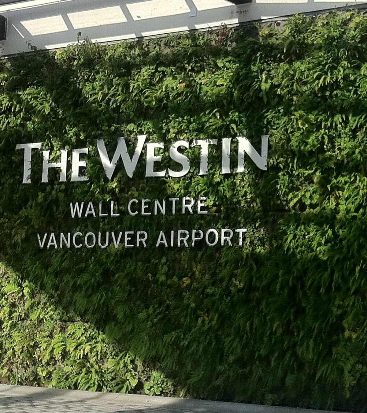 Sempergreen Canlı Duvar, Vancouver The Westin Oteli