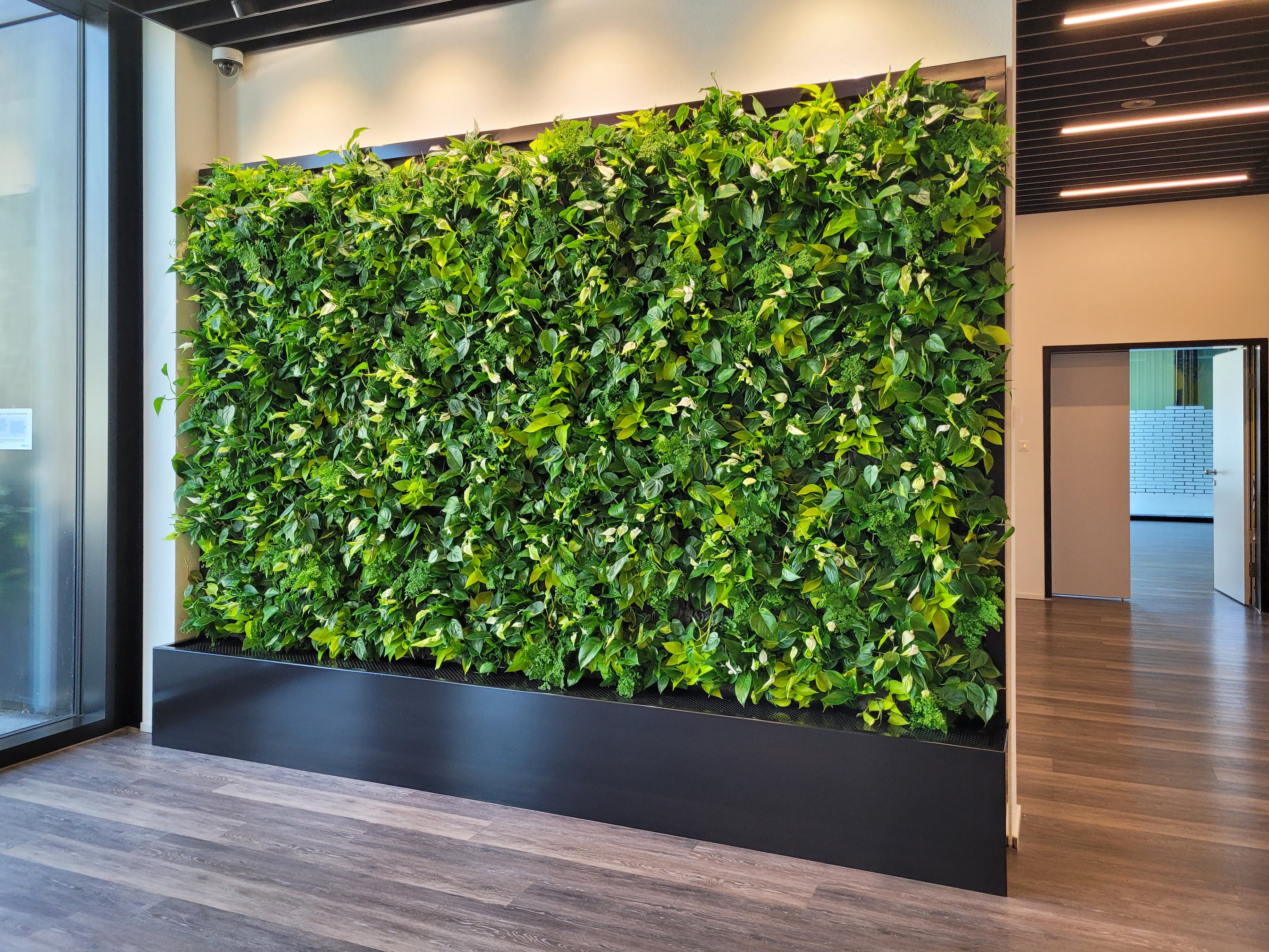 【2026GW限定】PLANT スクリーンサコッシュM バベーレ ナチュラル CompactLine | Modular indoor living wall system