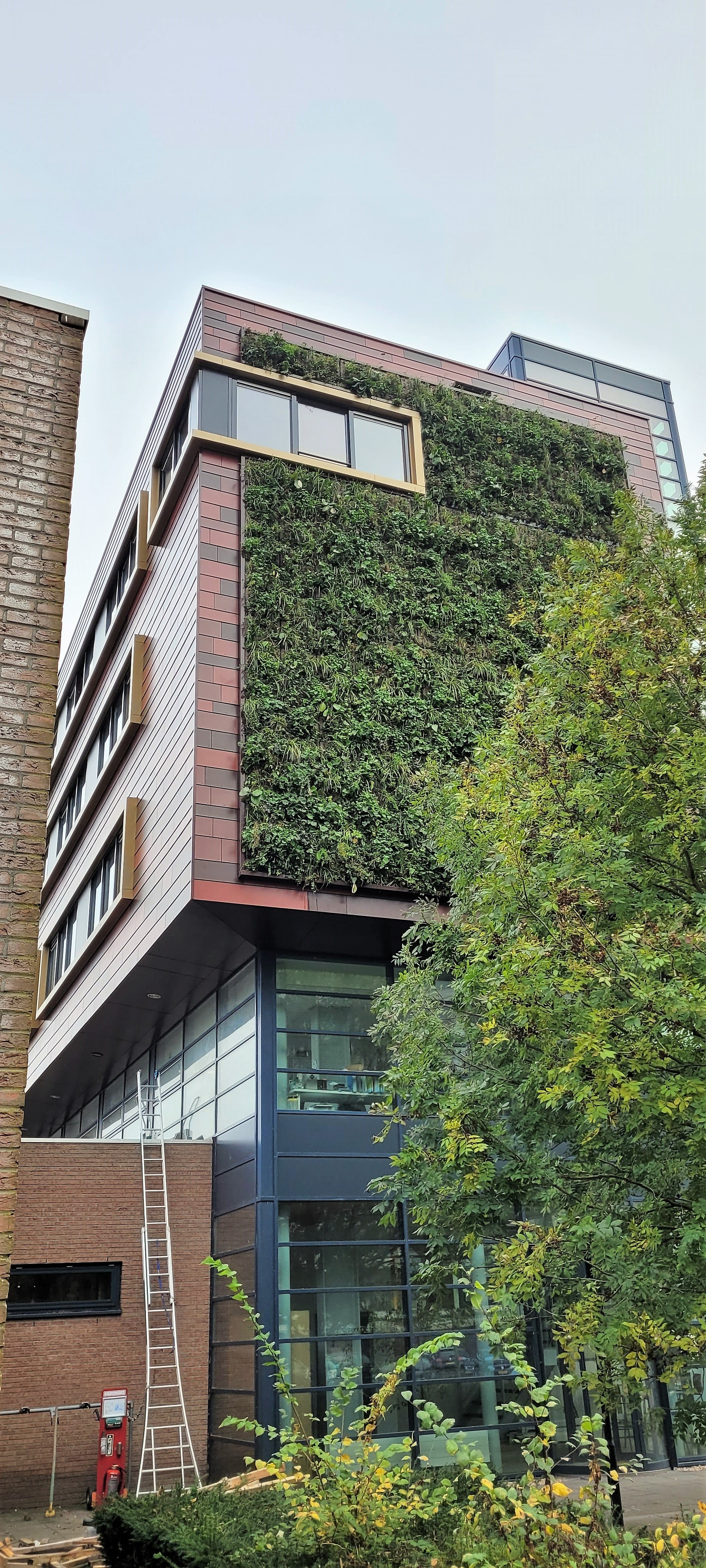 Mundus College | 100% Circular green façade Amsterdam