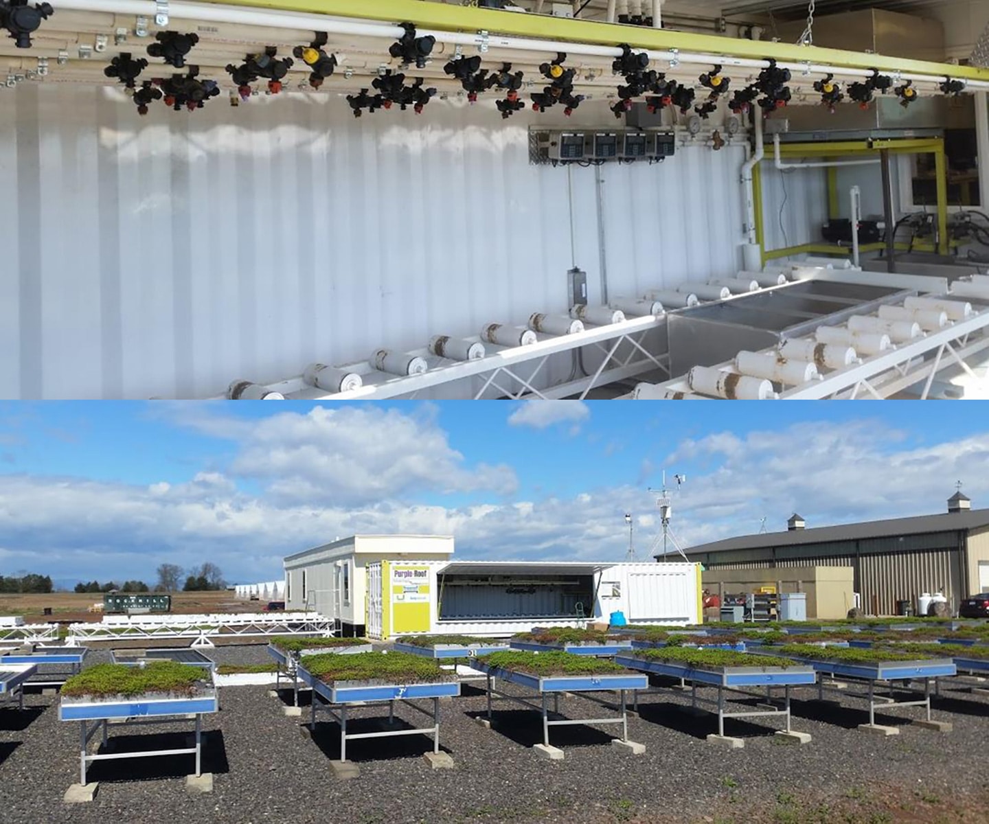 Sempergreen Mor Çatı Laboratuvarı