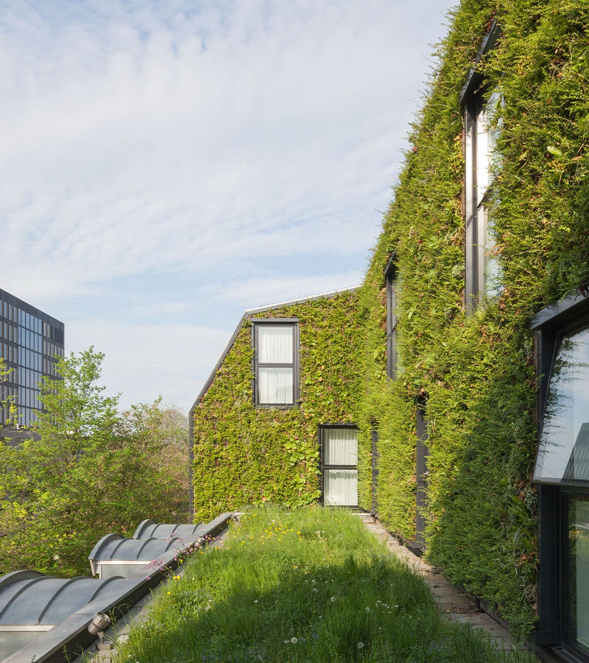 Sempergreen canlı duvarı, Amsterdam Hyatt Regency
