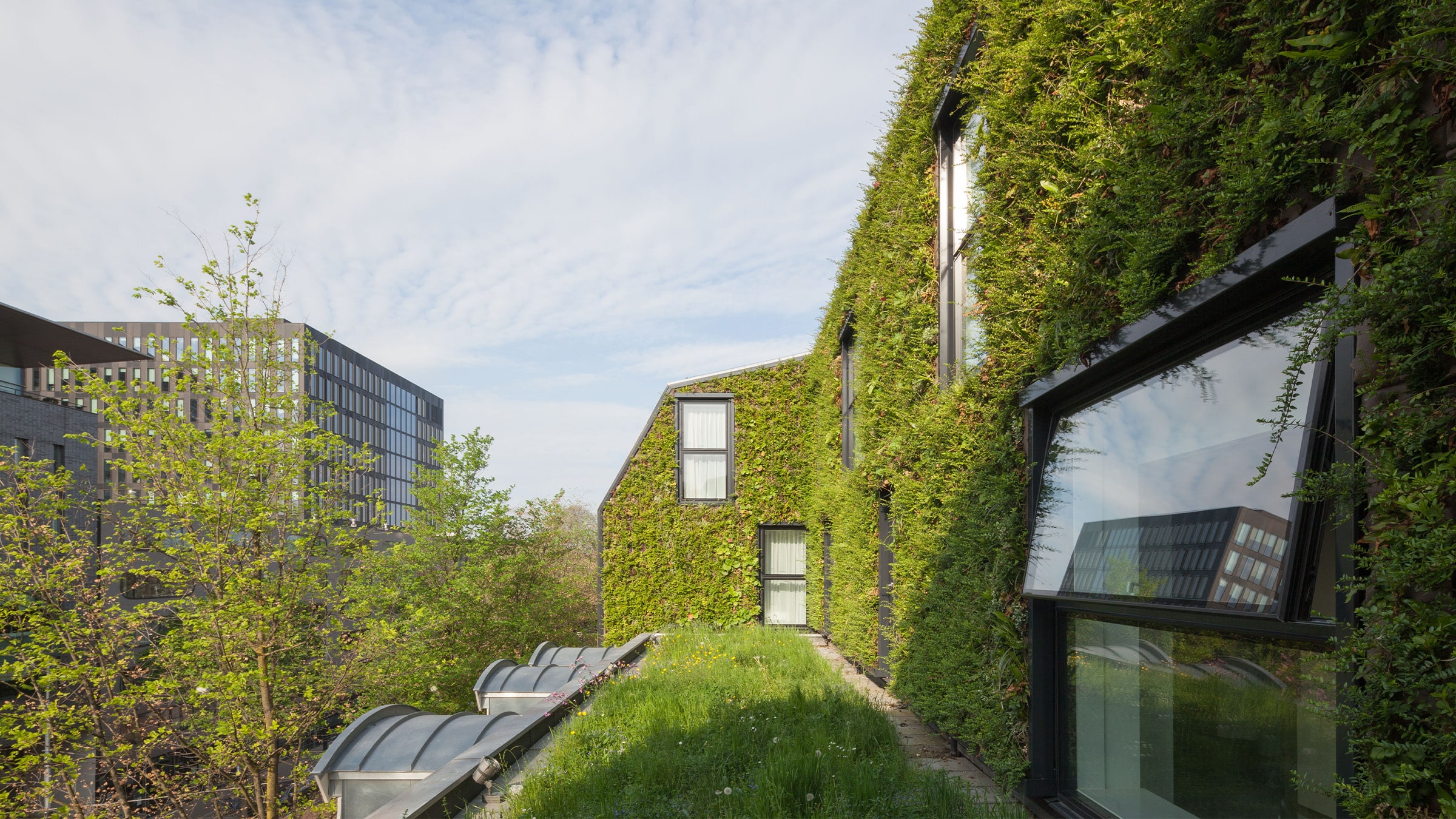 Sempergreen canlı duvarı, Amsterdam Hyatt Regency