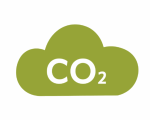 Yılda 230 kg CO₂ emilimi