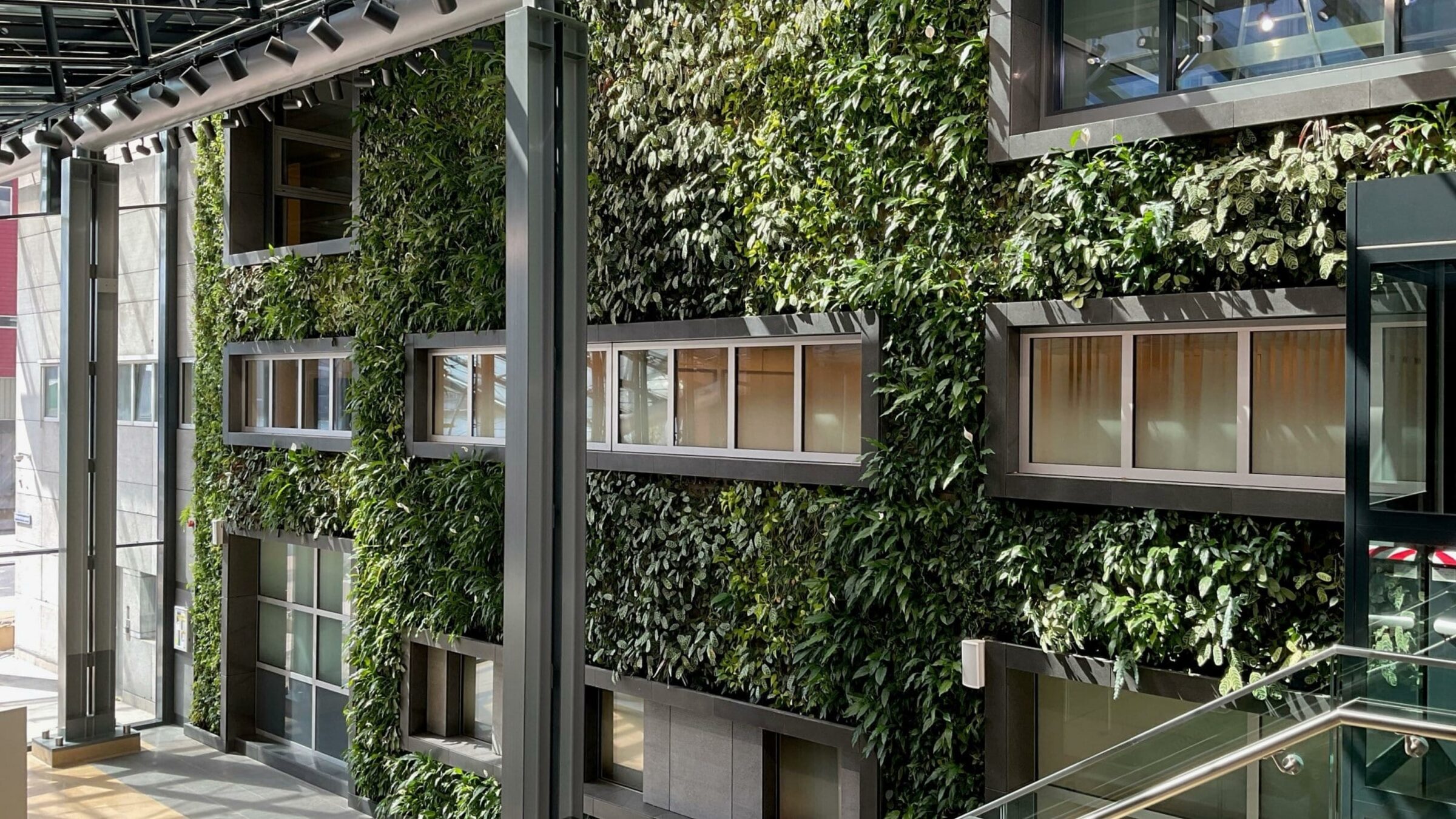 Sempergreen Ekolojik Yenileme Rotterdam