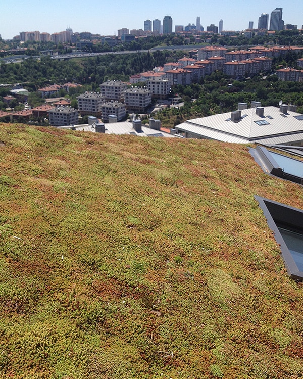 Sempergreen Yeşil Çatı İstanbul