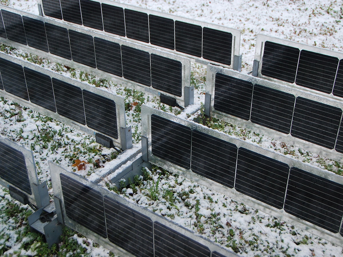 Sempergreen Solar green roofs sedum with sedum