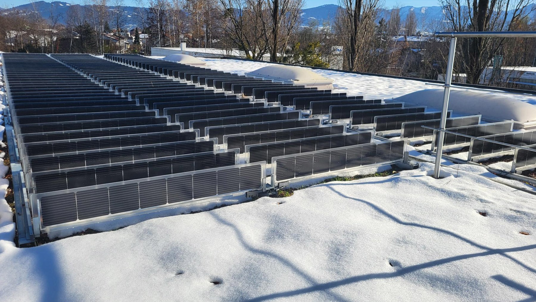 Sempergreen Solar green roofs winter