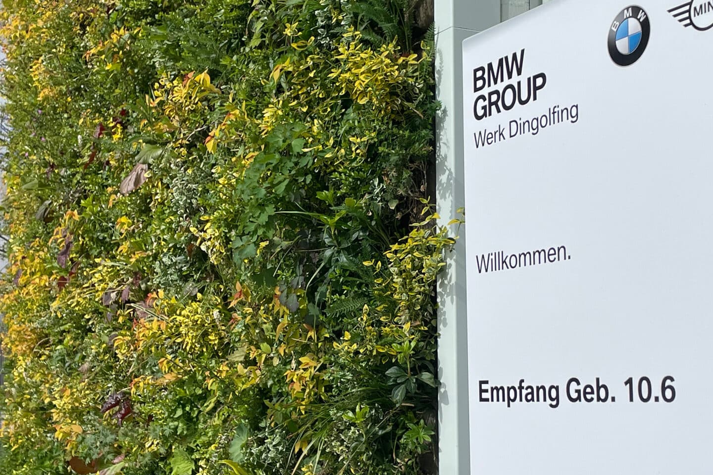 Sempergreen canlı duvar, Dingolfing BMW tabelası
