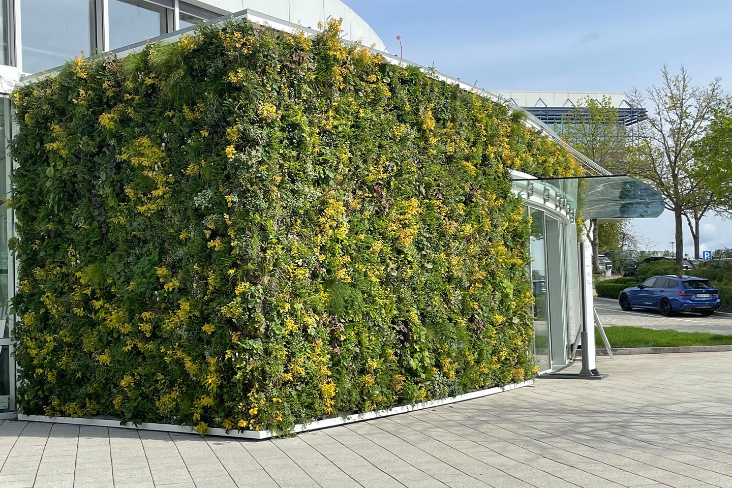 Sempergreen canlı duvar, Dingolfing BMW