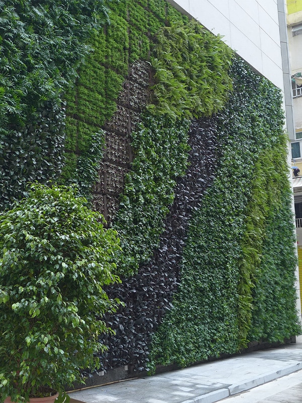 Sempergreen canlı duvar, HK Indigo Otel tarafı