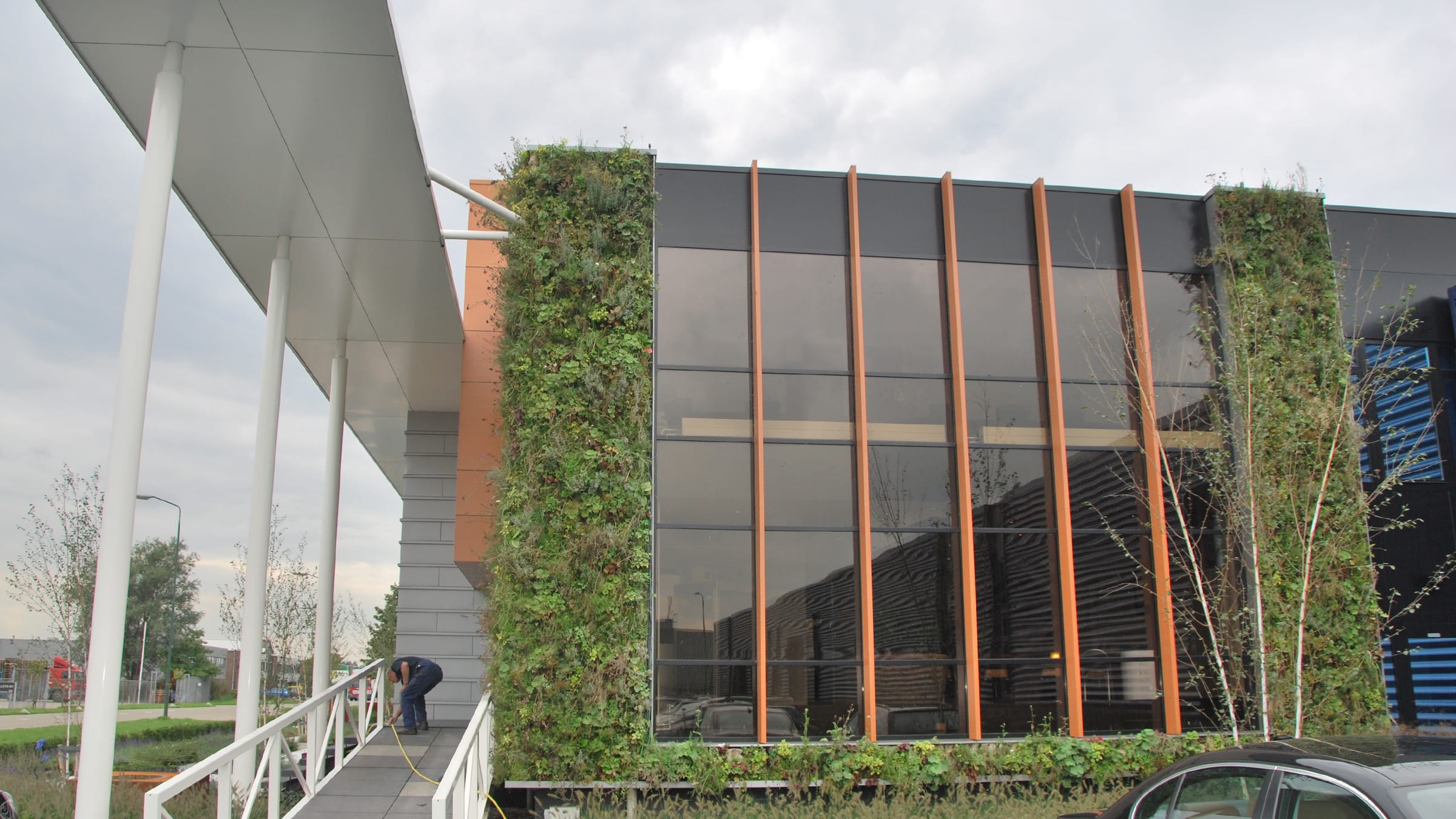Sempergreen canlı duvar – Roma Raamsdonksveer tarafı