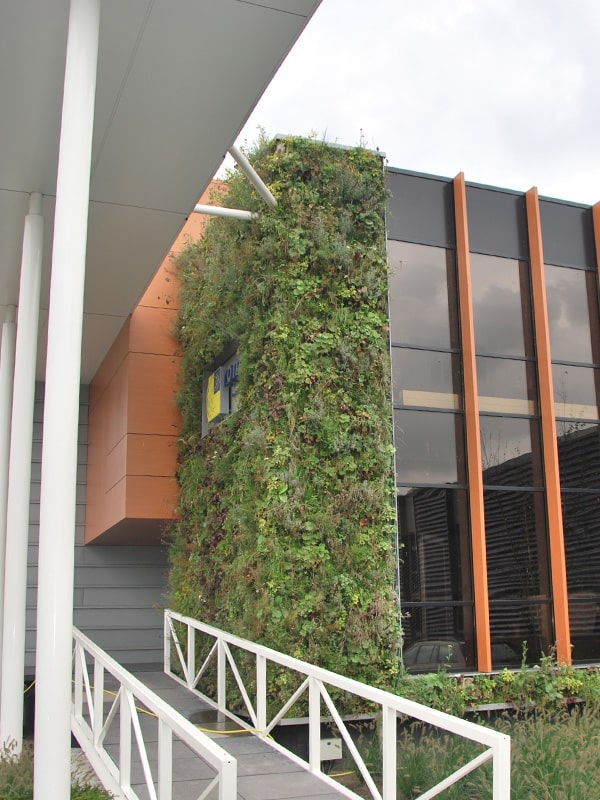 Sempergreen canlı duvar, Roma Raamsdonksveer Köprüsü