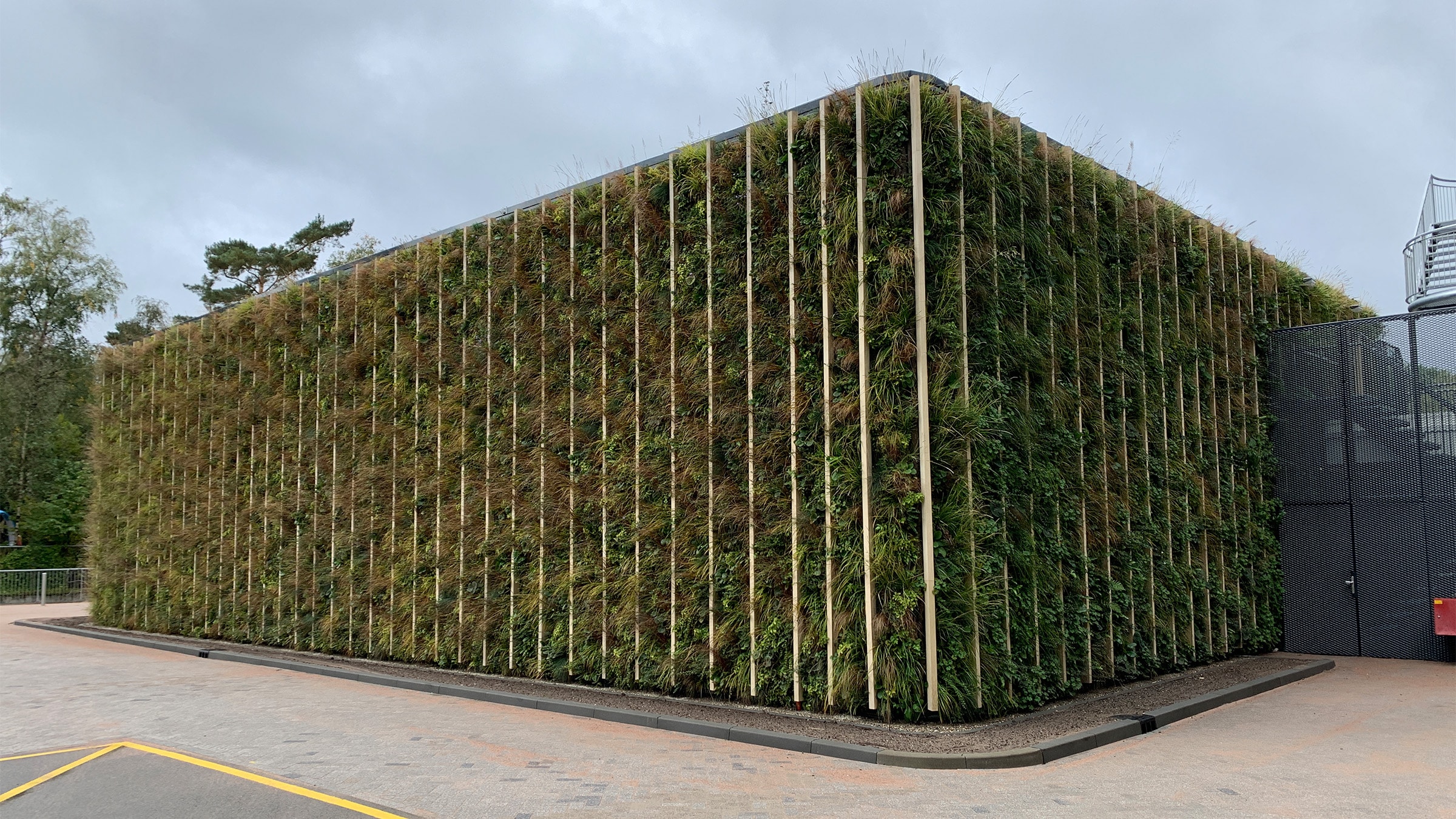 Sempergreen canlı duvar, Apeldoorn Radyoterapi Grubu 4