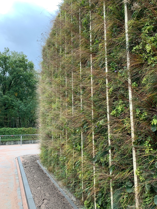 Sempergreen canlı duvar, Apeldoorn Radyoterapi Grubu