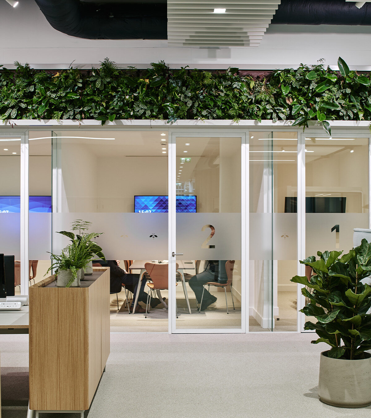 Sempergreen iç mekan canlı duvarı, Londra ofisi