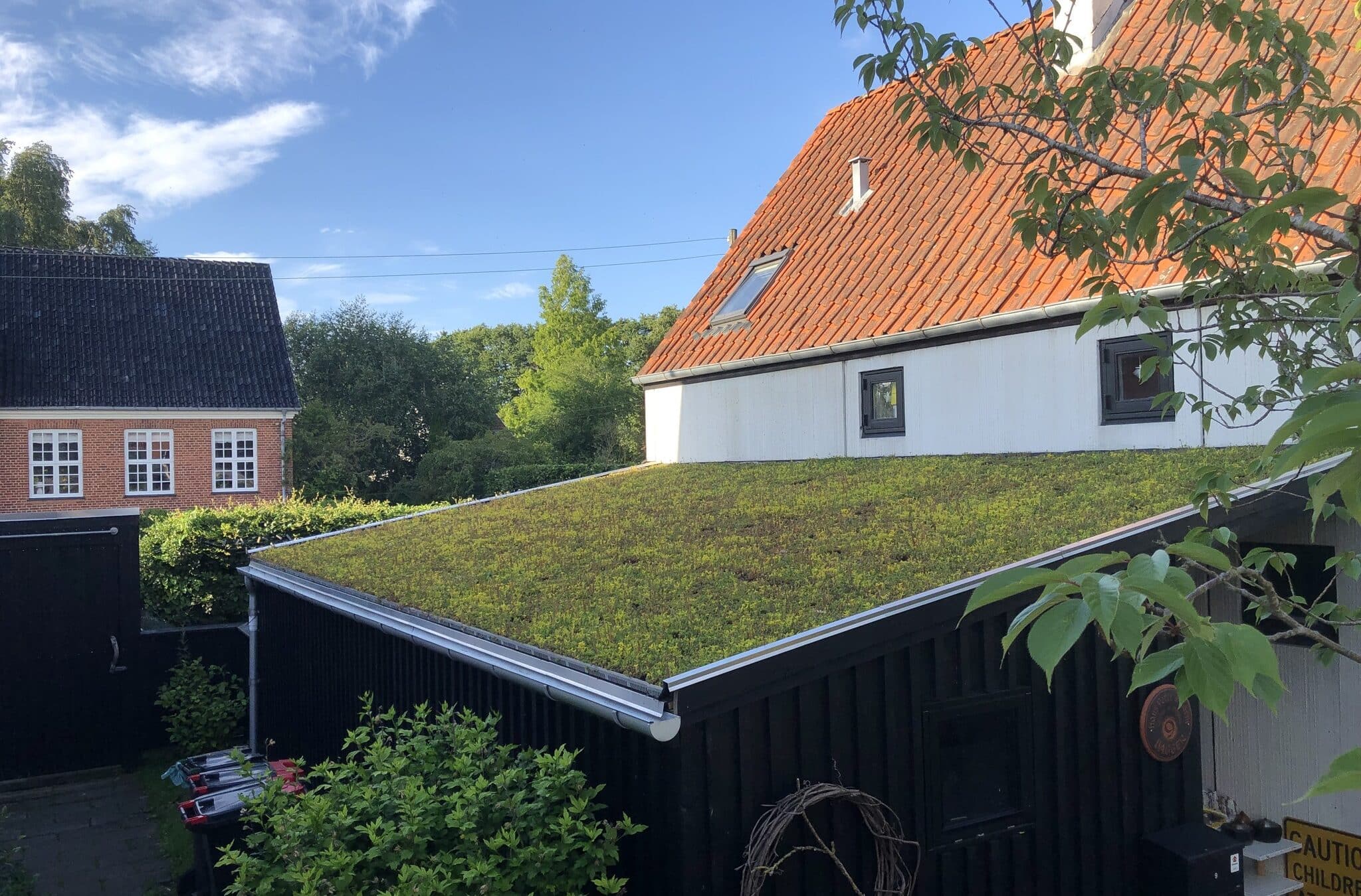 Sedumtag