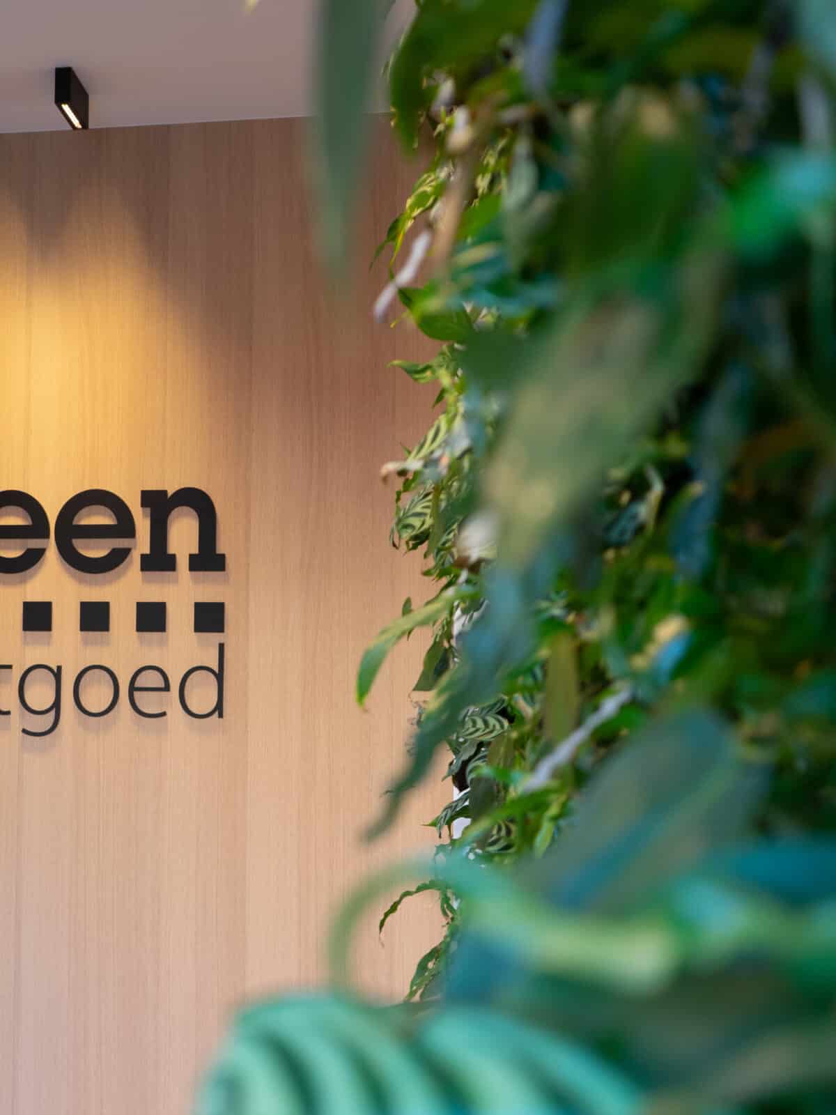 Steen Vastgoed green wall inside