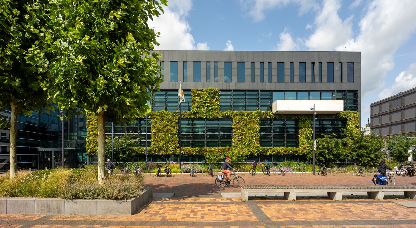 Żywa ściana w ratuszu w Heerhugowaard