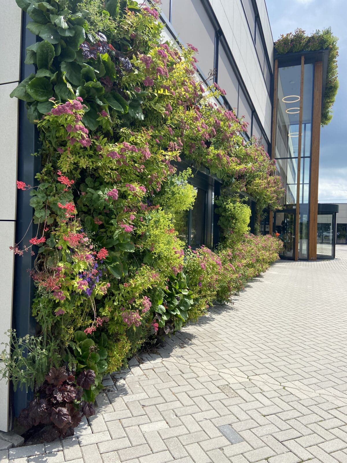 SemperGreenwall dış mekan çevre tasarım çözümleri