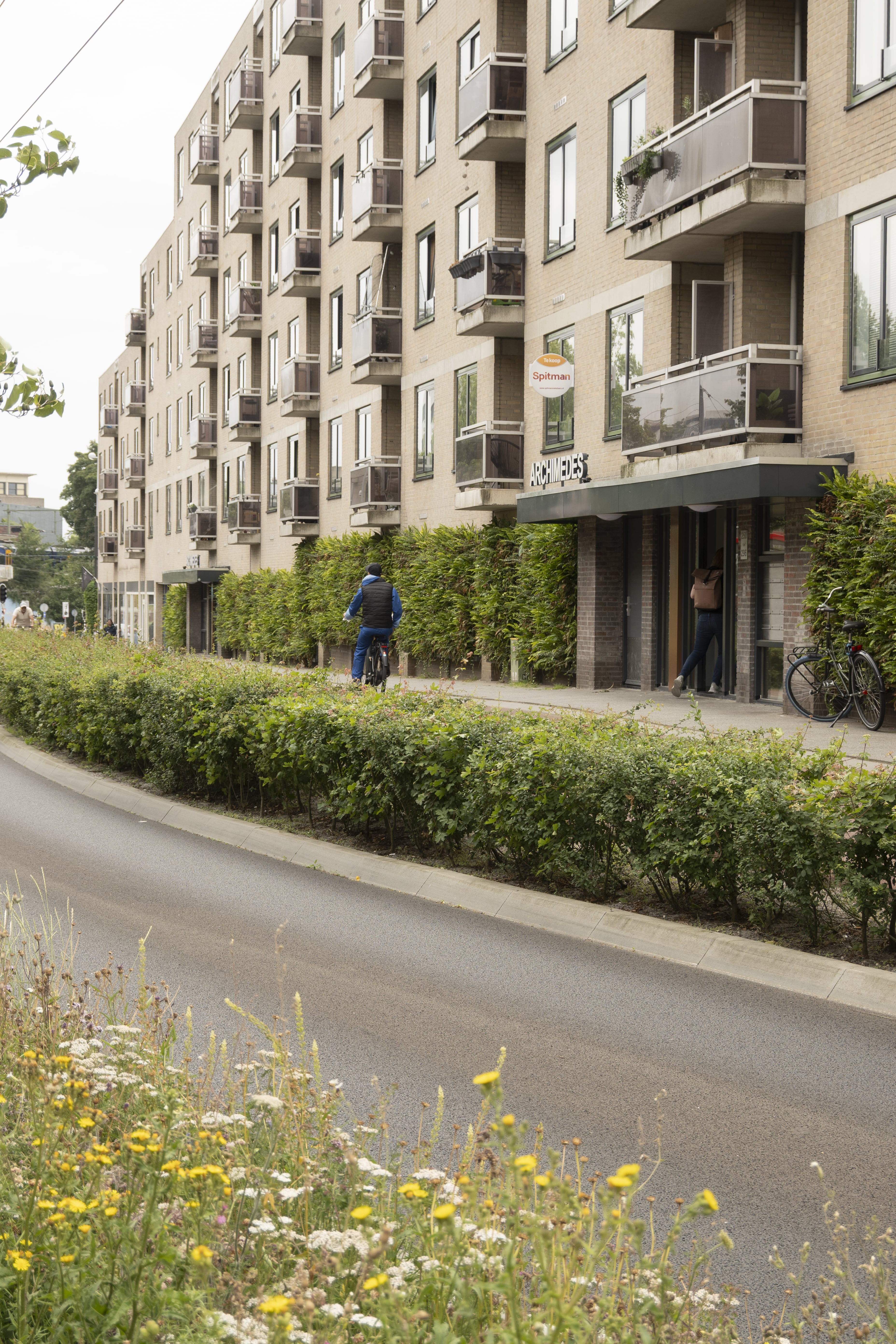 Green Roof & Living Wall Projects for Sustainable Cities