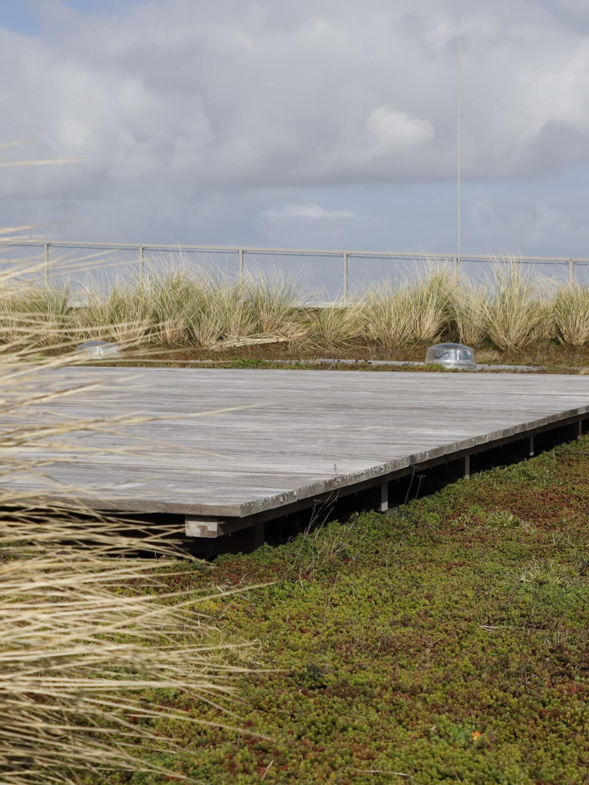 WEC Lauwersoog Sempergreen green roof