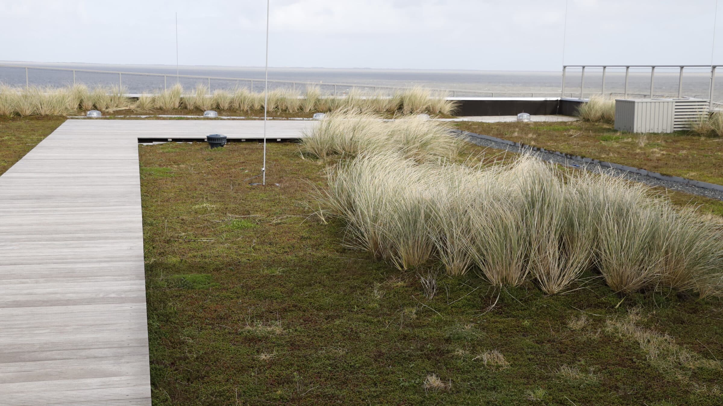 WEC Lauwersoog garden roof
