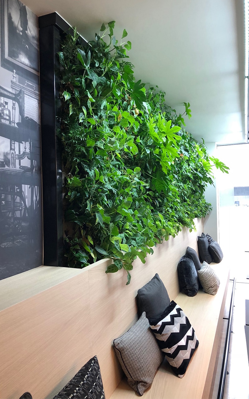 beşikten beşiğe tasarım SemperGreenwall Tectum Group