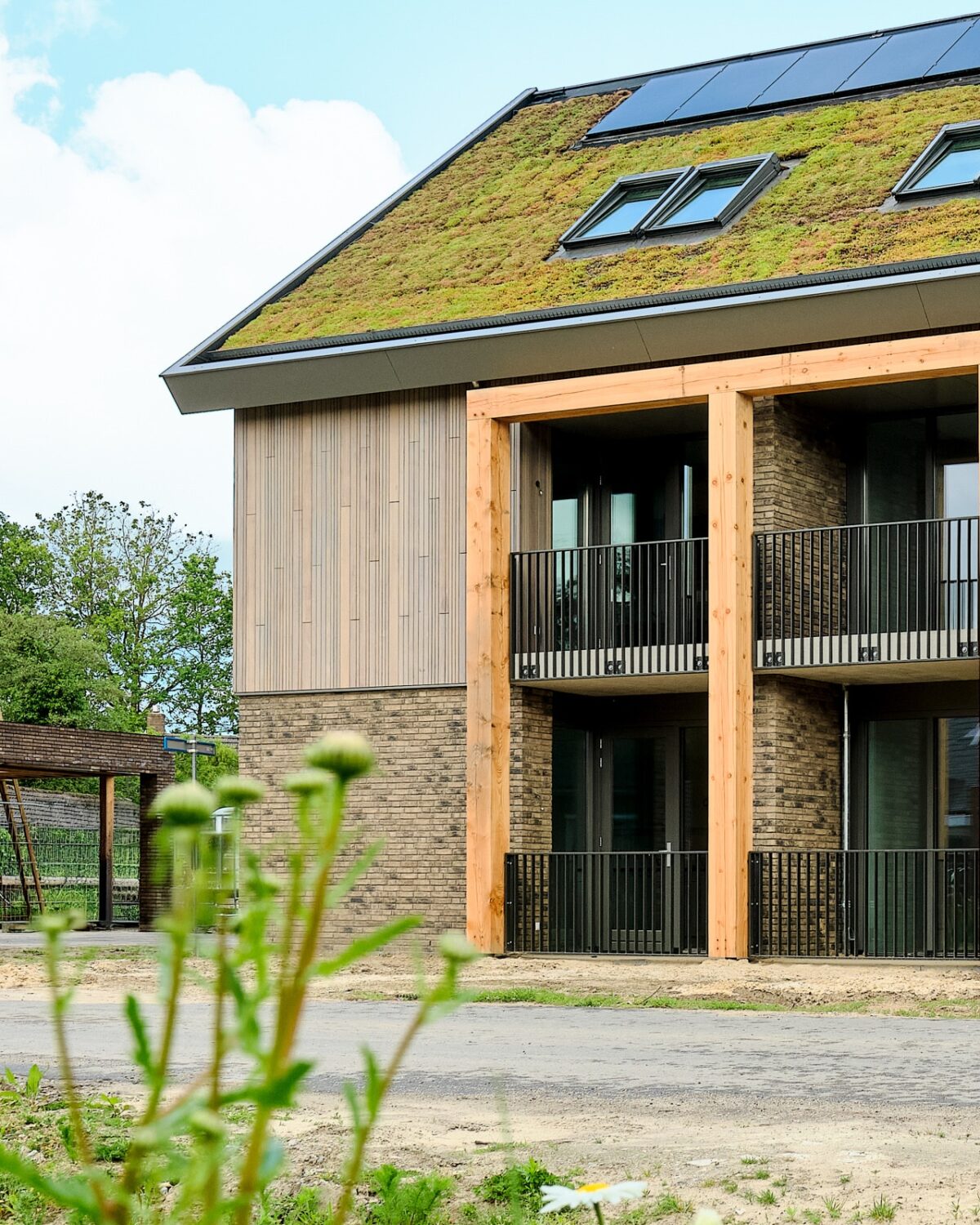 Appartment building pitched green roof