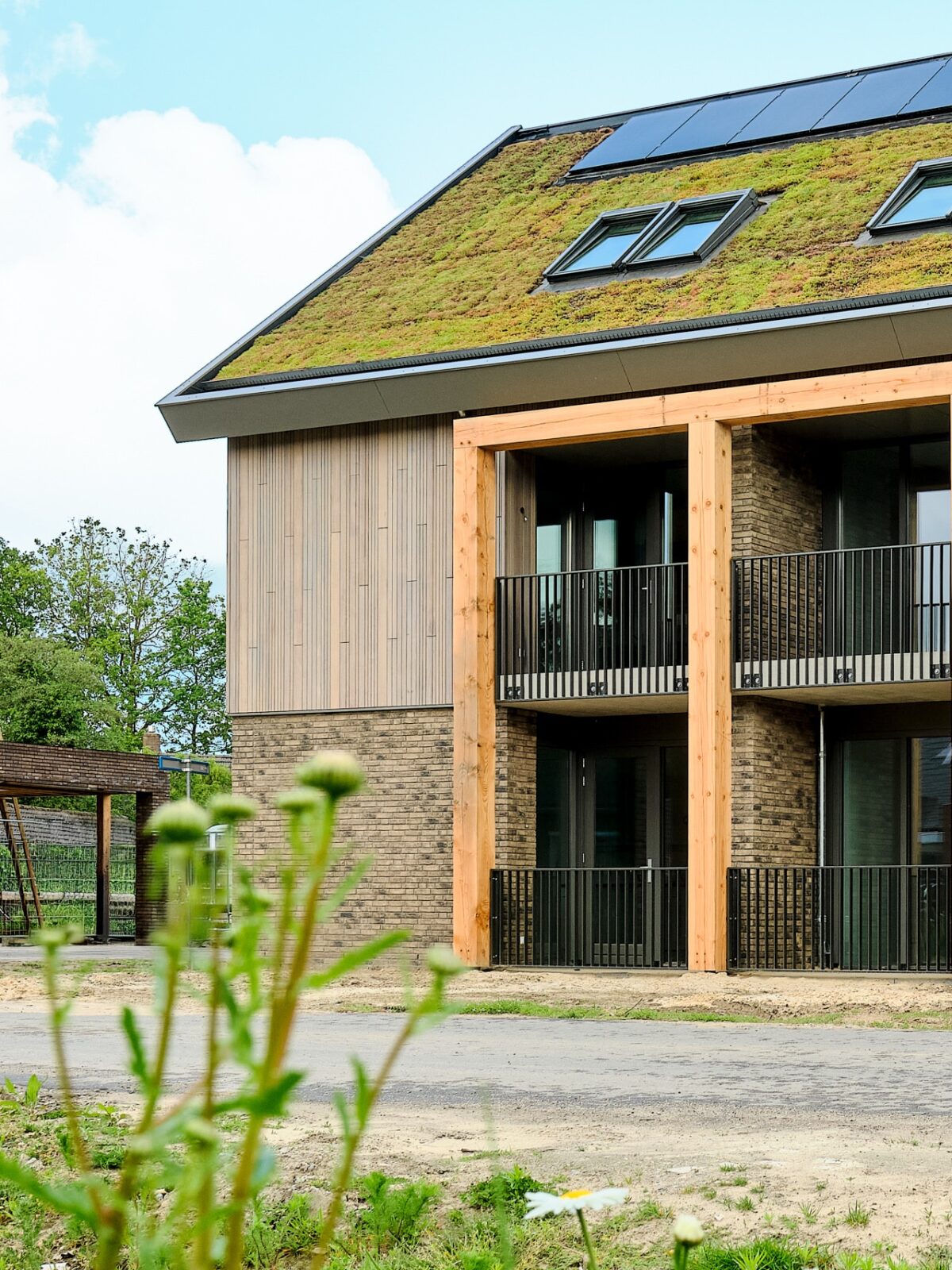 Appartment building pitched green roof
