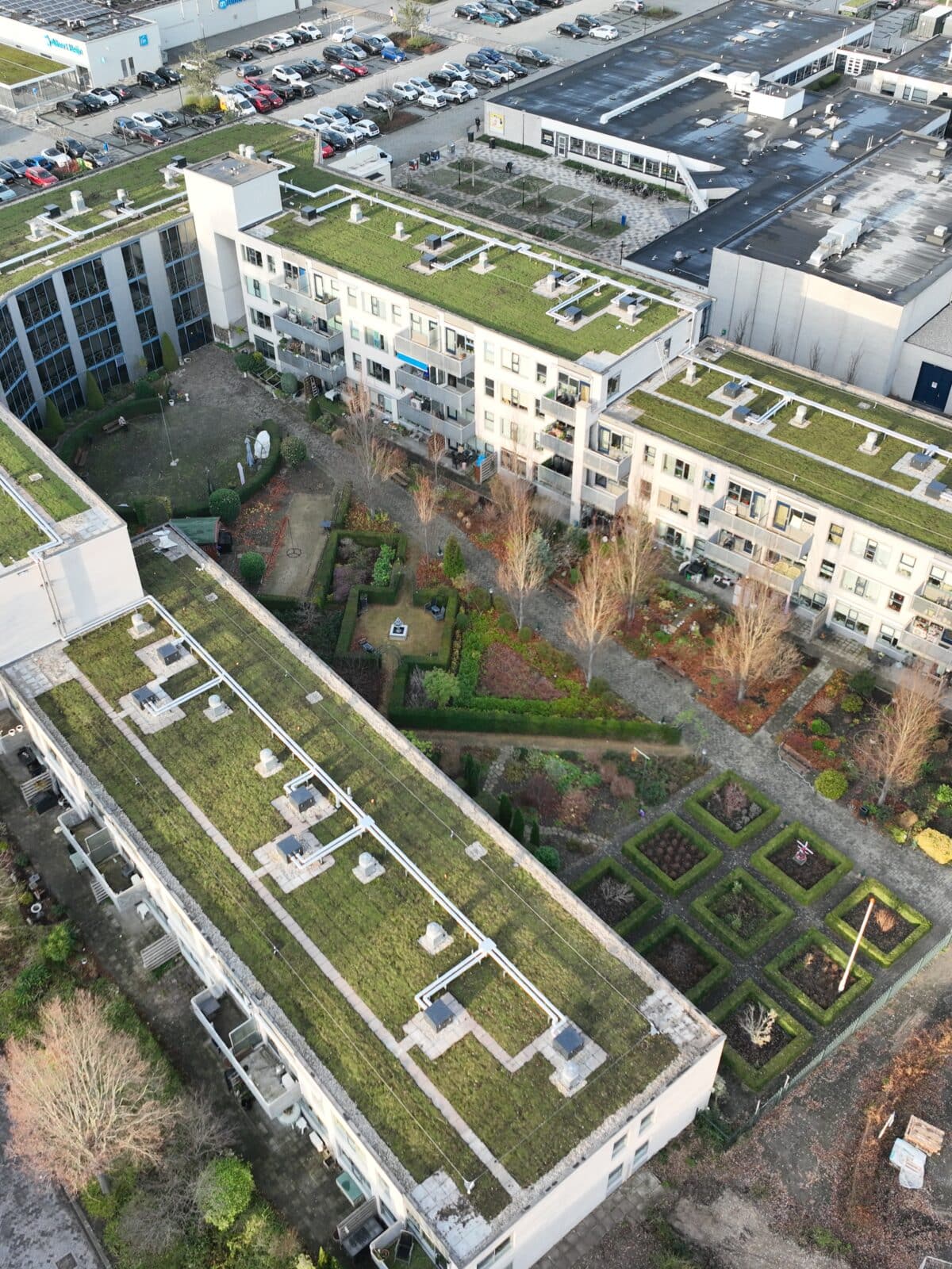 Environmental design solutions sedum Zwijndrecht