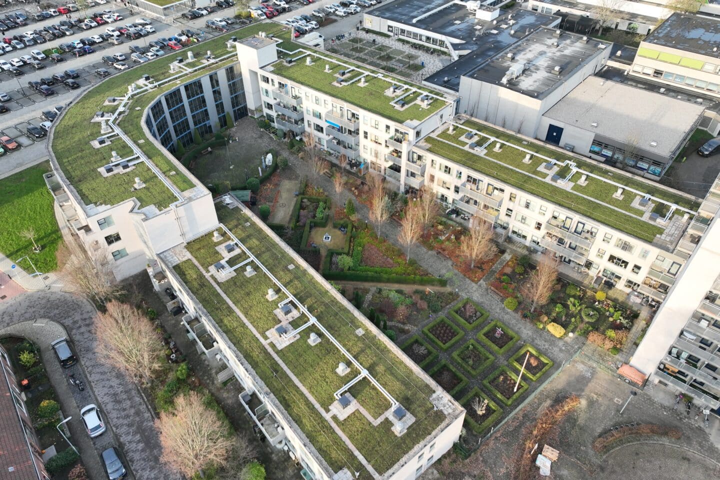 Environmental design solutions sedum Zwijndrecht