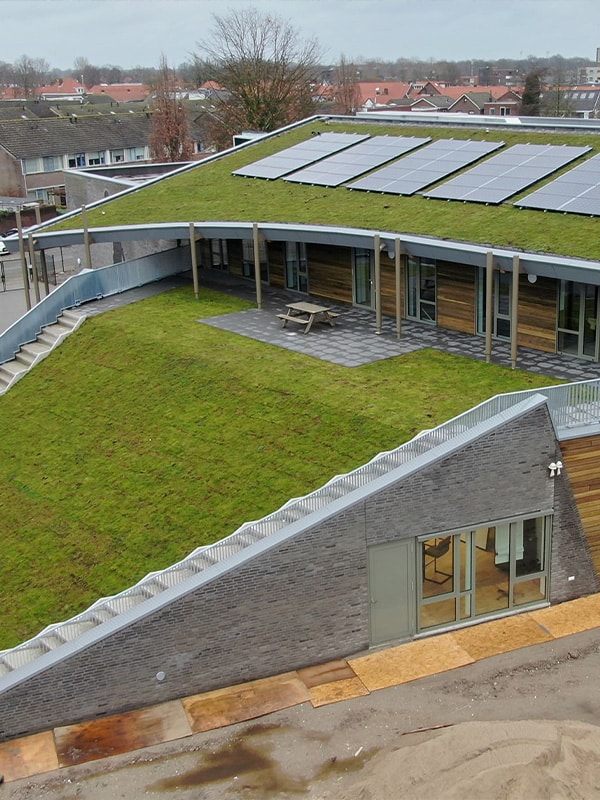 green roof on school in waalwijk
