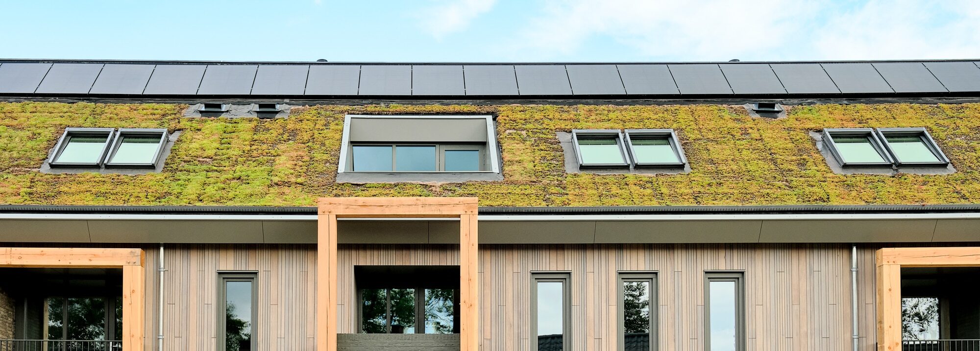 Pitched sedum roof Sempergreen Oirschot