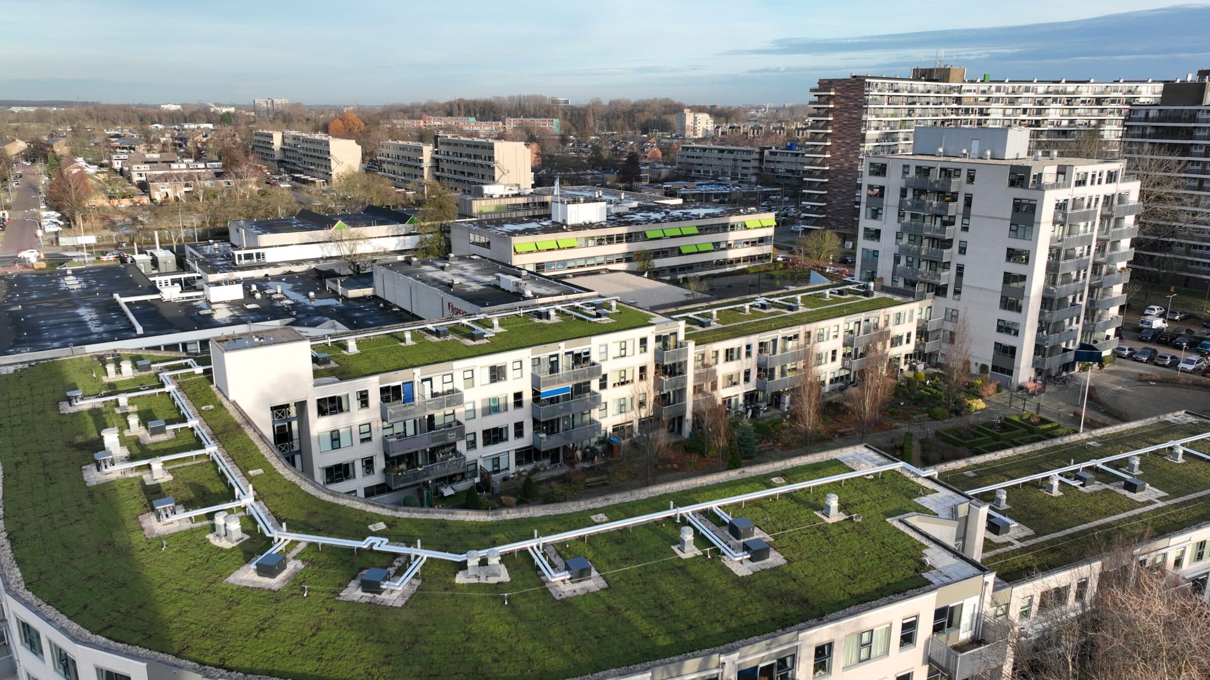 Sedum green roof Zwijndrecht Norderstedtplein en De Swinstaete