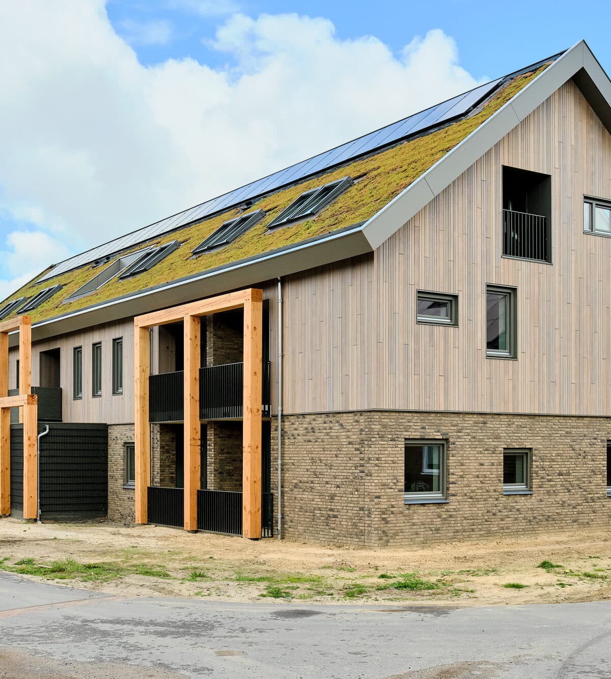 Sedum on pitched roof Oirschot