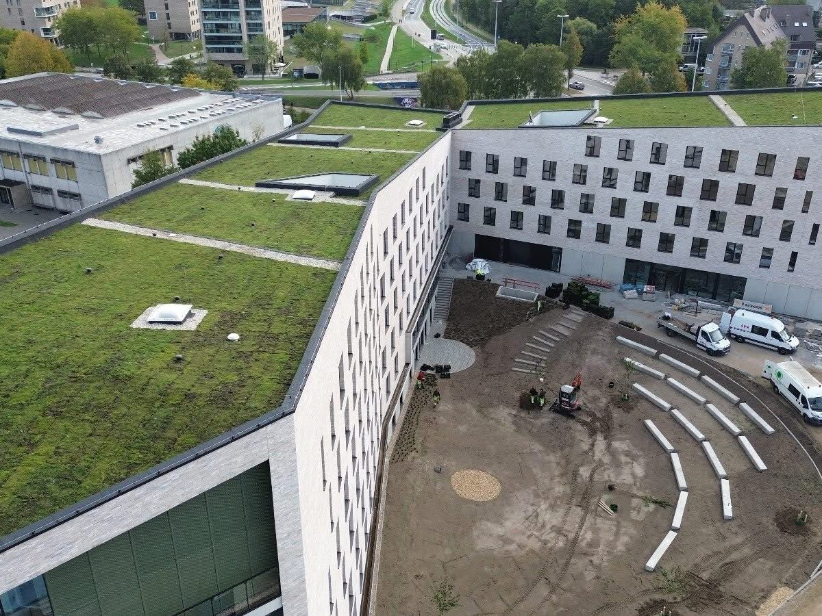 Sedum roof Hoebanx Zicht op groen Hasselt