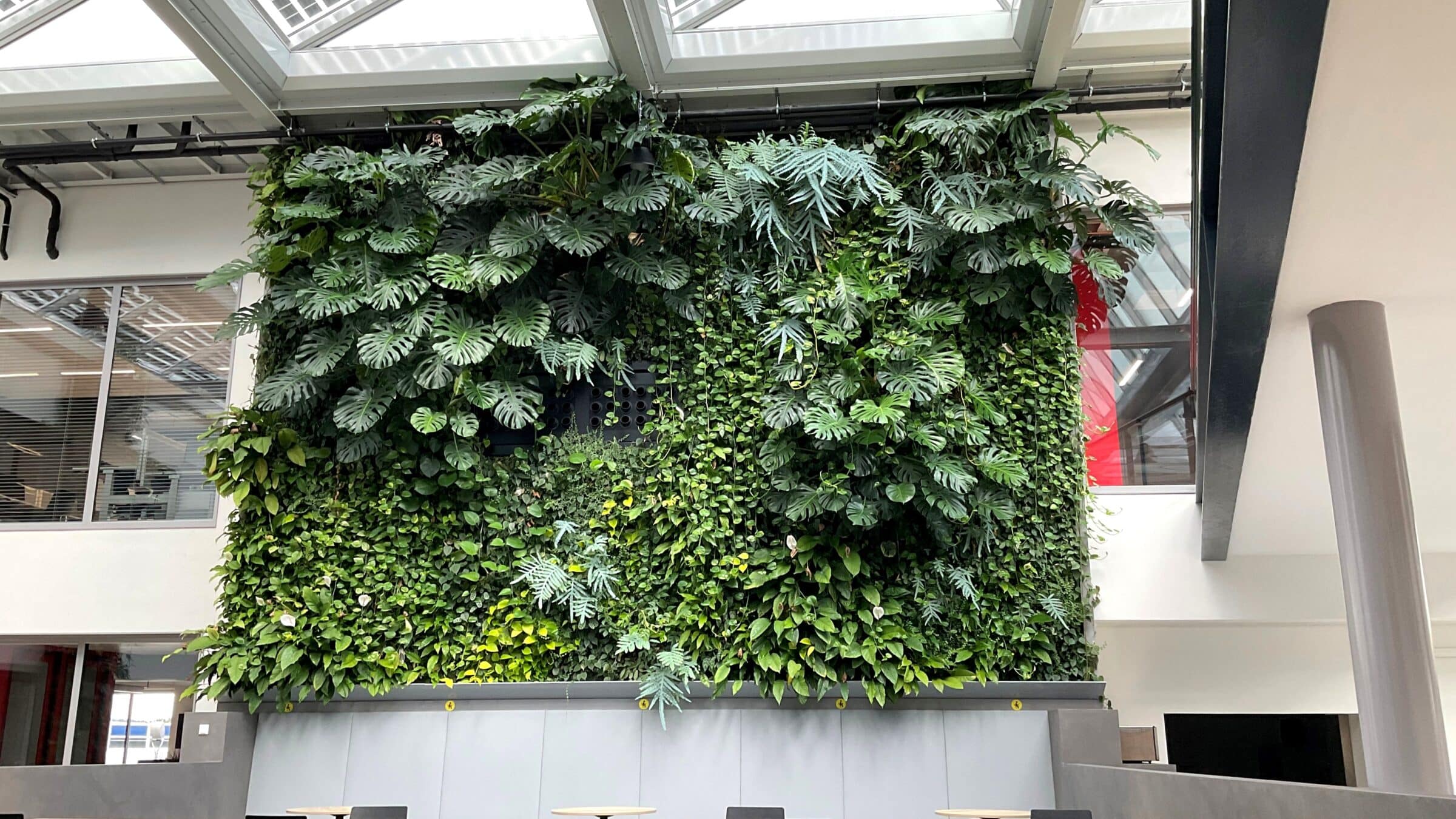 SemperGreenwall Indoor Mercedes Benz