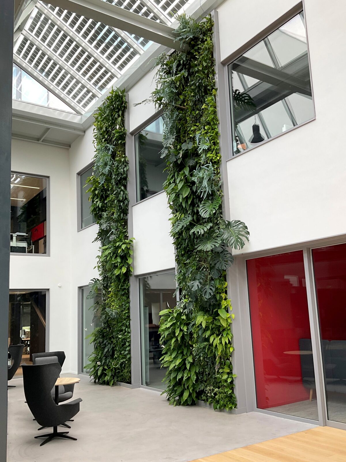 Living green wall Sempergreen Mercedes Benz