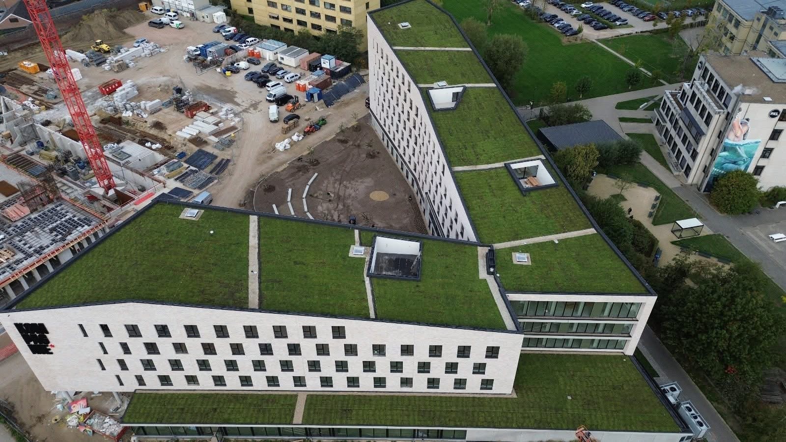Sempergreen green roof Hasselt Hoebanx Zicht op groen