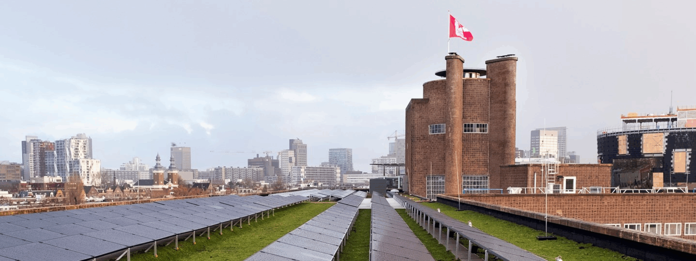 Solargreen roof University Rotterdam