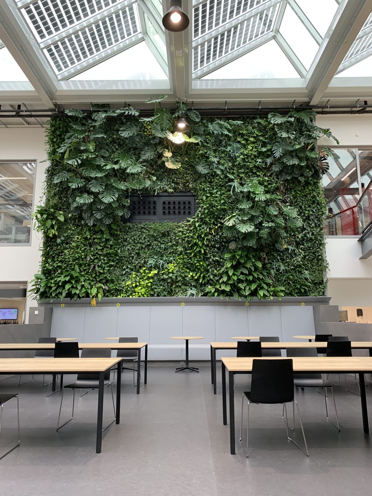 Vertical garden wall Mercedes Benz