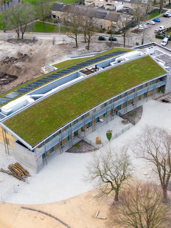 green roof on school in waalwijk