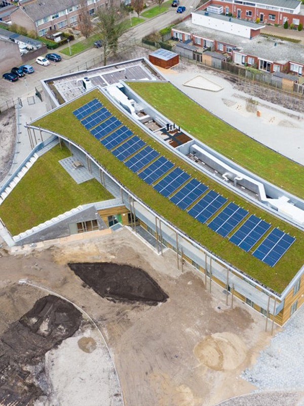 green roof on school in waalwijk