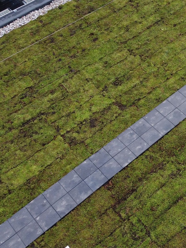 Greenroof on schoolcampus HASP-O in Sint Truiden